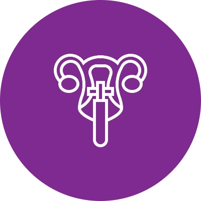 Hysterectomy with Bilateral Salpingo-Oophorectomy
